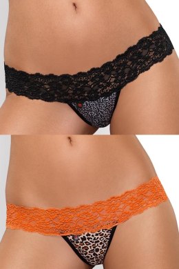 Lacea stringi dwupak I