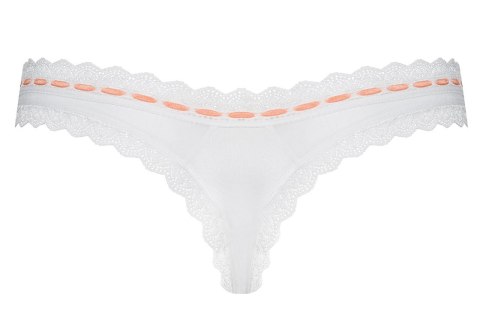 Melidia stringi Melidia stringi