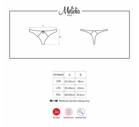 Melidia stringi Melidia stringi