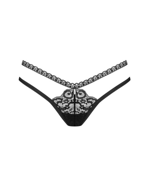 STRINGI BLOMENTIS STRINGI BLOMENTIS