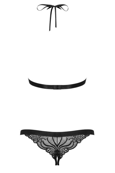 828-TED-1 body 828-TED-1 body