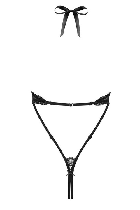 830-TED-1 body 830-TED-1 body