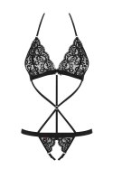 831-TED-1 body