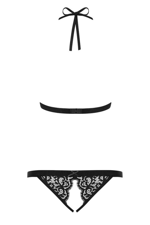 831-TED-1 body 831-TED-1 body