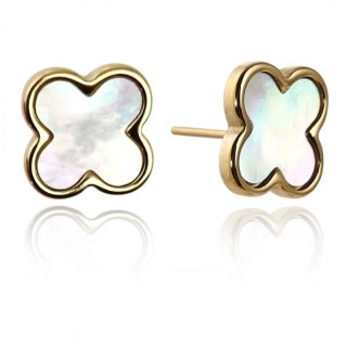 Kolczyki ze stali szlachetnej platerowane 14k złotem, Koniczynka masa perłowa KST3388