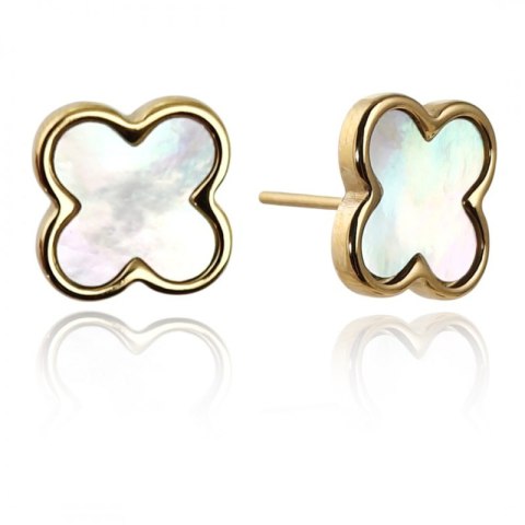 Kolczyki ze stali szlachetnej platerowane 14k złotem, Koniczynka masa perłowa KST3388