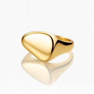 Pierścionek stal chirurgiczna platerowana 14k złotem PST996, Rozmiar pierścionków: US7 EU14